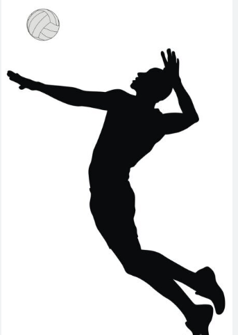  I Zimowe Mistrzostwa Polski Lekarzy i Lekarzy Dentystów w Siatkówce Plażowej